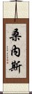 桑內斯 Scroll