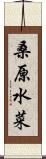 桑原水菜 Scroll