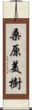 桑原美樹 Scroll