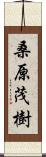 桑原茂樹 Scroll