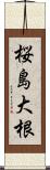 桜島大根 Scroll