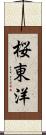 桜東洋 Scroll