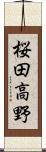 桜田高野 Scroll