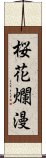 桜花爛漫 Scroll