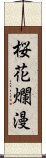 桜花爛漫 Scroll