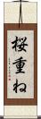 桜重ね Scroll
