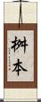 桝本 Scroll