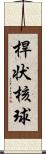 桿状核球 Scroll