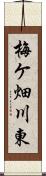 梅ケ畑川東 Scroll