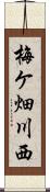 梅ケ畑川西 Scroll