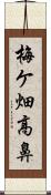 梅ケ畑高鼻 Scroll