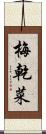 梅乾菜 Scroll