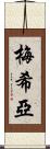 Mejia Scroll