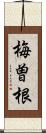 梅曽根 Scroll