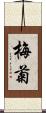 梅菊 Scroll