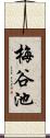 梅谷池 Scroll