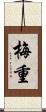 梅重 Scroll