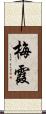 梅霞 Scroll