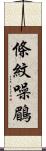 條紋噪鶥 Scroll