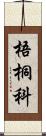 梧桐科 Scroll