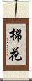 棉花 Scroll
