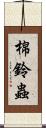 棉鈴蟲 Scroll