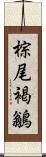 棕尾褐鶲 Scroll