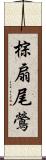 棕扇尾鶯 Scroll