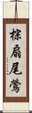 棕扇尾鶯 Scroll