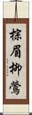 棕眉柳鶯 Scroll