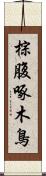 棕腹啄木鳥 Scroll