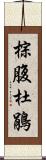 棕腹杜鵑 Scroll