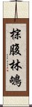 棕腹林鴝 Scroll