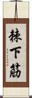 棘下筋 Scroll