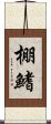 棚鰭 Scroll
