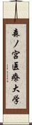 森ノ宮医療大学 Scroll