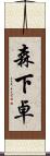 森下卓 Scroll