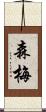 森梅 Scroll