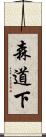 森道下 Scroll