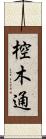 椌木通 Scroll