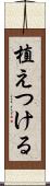 植えつける Scroll