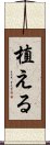 植える Scroll