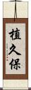 植久保 Scroll