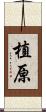植原 Scroll