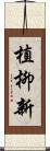 植柳新 Scroll