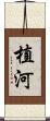 植河 Scroll