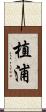 植浦 Scroll