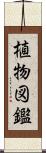 植物図鑑 Scroll