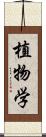 植物学 Scroll