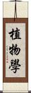 植物學 Scroll